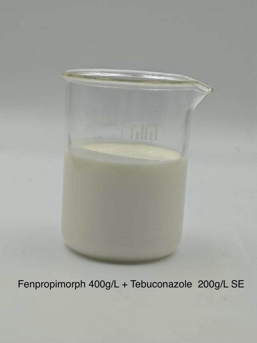 Fenpropimorph 400g/L + Tebuconazole 200g/L SE